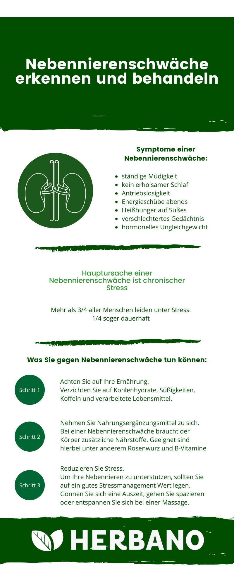 Nebennierenschwäche