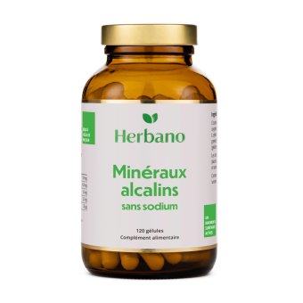 Gélules Bases Minérales