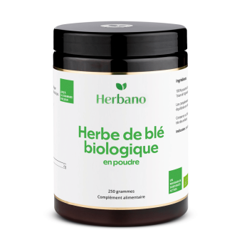 Herbe de blé biologique en poudre