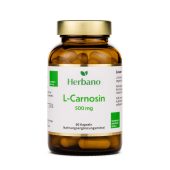 L-Carnosin Kapseln