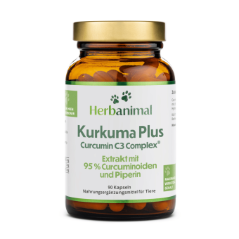 Kurkuma Kapseln Hund