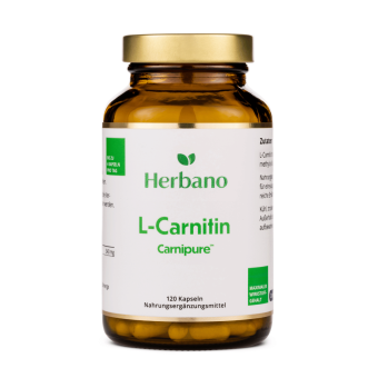 L-Carnitin Kapseln