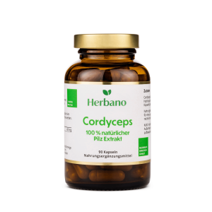 Cordyceps Kapseln 100% natürlicher Pilzextrakt