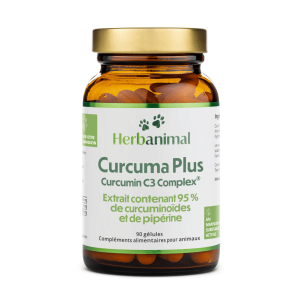 Curcuma pour les animaux