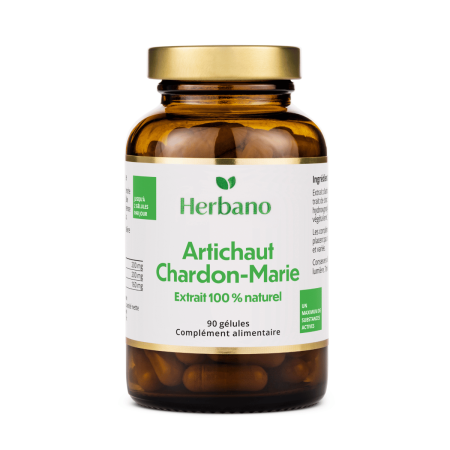 Chardon marie et artichaut