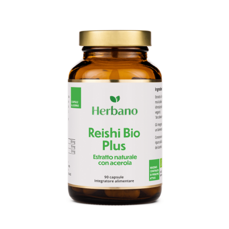 Estratto di fungo Reishi biologico