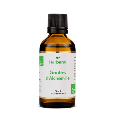 Gouttes d'alchémille