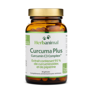 Curcuma pour les animaux