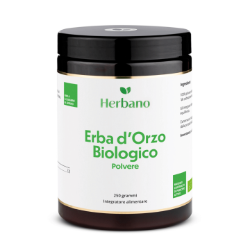 Erba d’orzo biologico in polvere