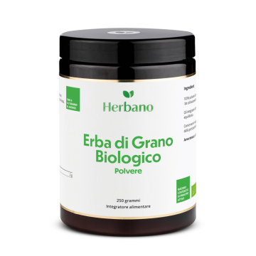Erba di Grano Biologico in polvere