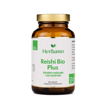 Estratto di fungo Reishi biologico