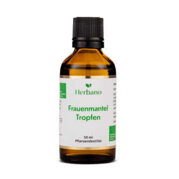 Frauenmantel Tropfen