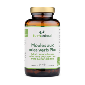 Gélules d'extrait de moule verte pour chiens, chats et cheveaux