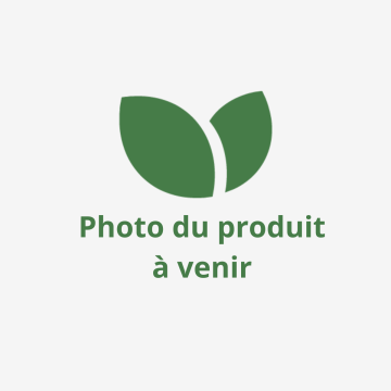 Photo du produit à venir