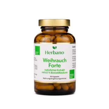 Weihrauch Kapseln aus Boswellia Serrata