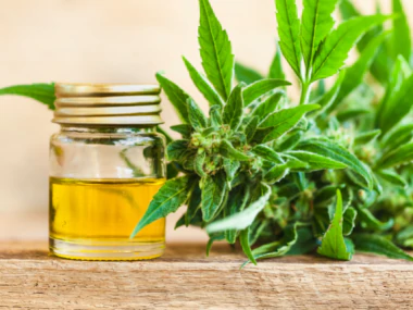 CBD: Pflanzliche Lösung bei Ängsten? |Herbano