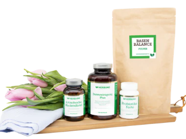 Darmsanierung: Tipps und Anleitung | Herbano