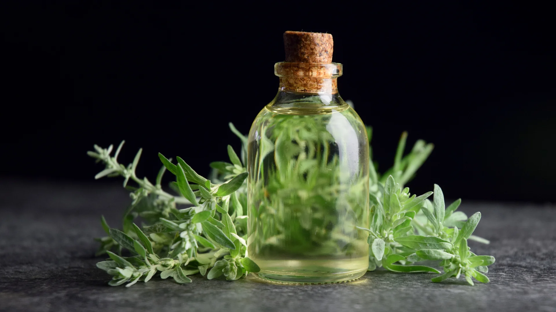 Wermutkraut: Das parasitenbekämpfende Superkraut