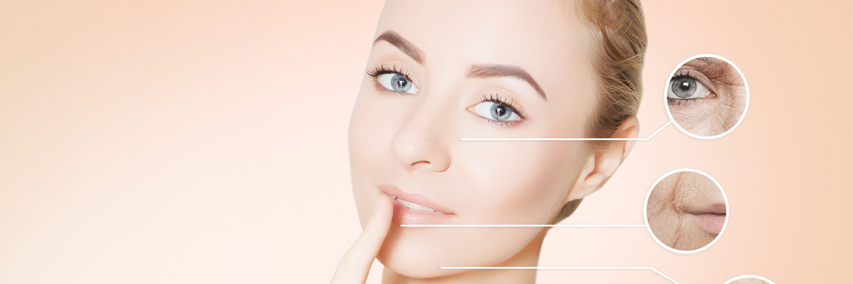 Qu'est-ce que la carnosine et comment fonctionne-t-elle ?