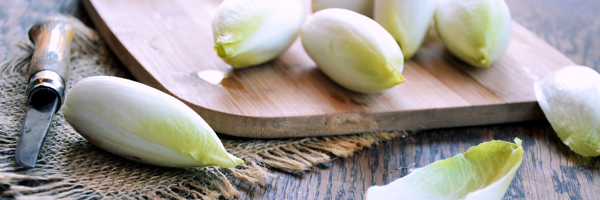 Que sont les prébiotiques?