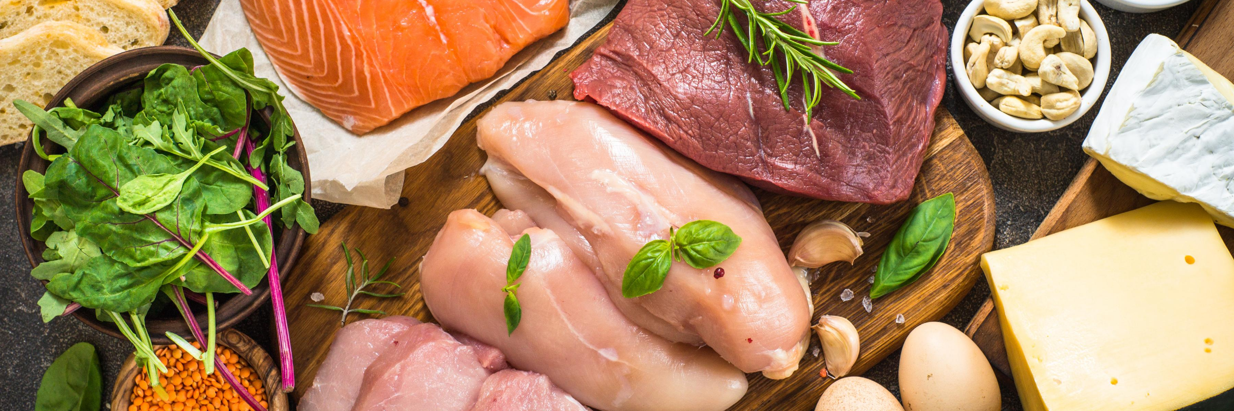 Les acides aminés : éléments constitutifs de l'organisme