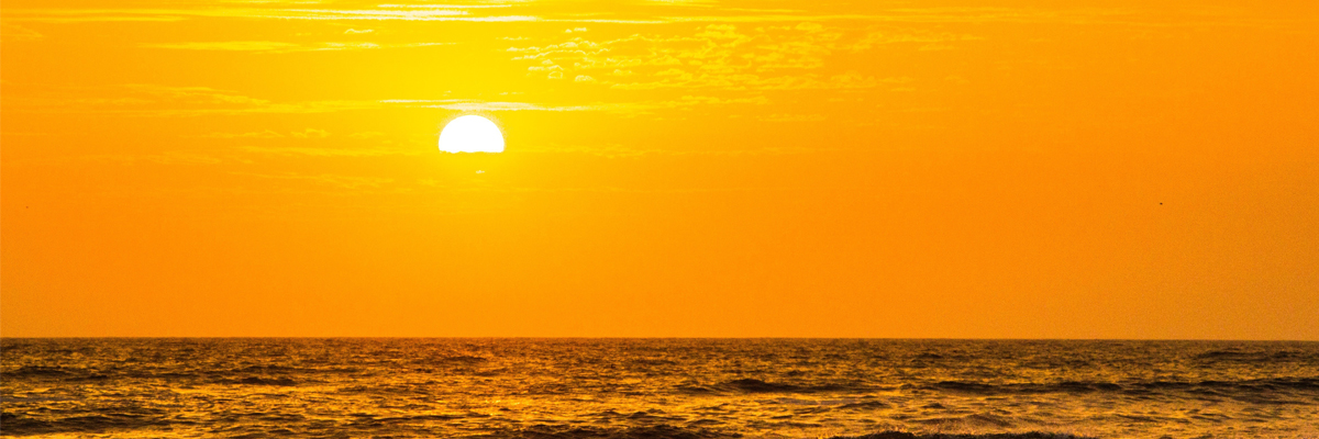 Qu'est-ce que la vitamine D ? - Le meilleur antidépresseur