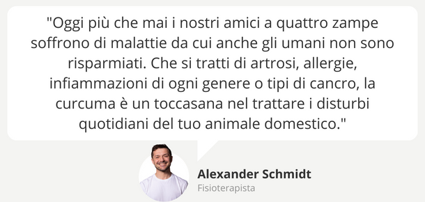 Effetti curcuma per gli animali