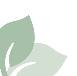 herbano-cms-block-one