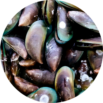 Extrait de moules aux orles verts pour animaux