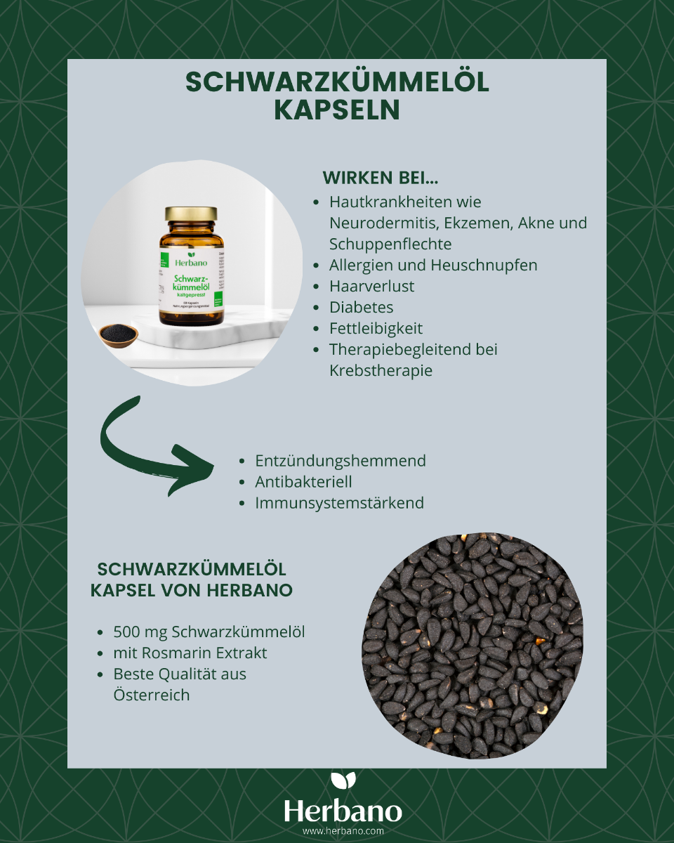 Schwarzkümmelöl Kapseln Wirkung